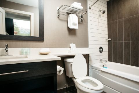 Standard Guest Room Bathroom